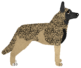 Czeko's No Regrets, Just Love — “Britney”