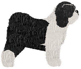 Energizing Good Luck — “Clark”