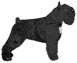 Energizing WHISTLE BABY — “Kiki”