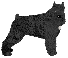 Profile image of Energizing WHISTLE BABY