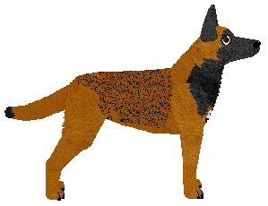 Guardian's Shadow Dance — “Nexus”