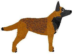 Guardian's Shadow Dance — “Nexus”