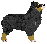 Loveshack SOUR CHERRY — “Scrappy”