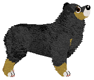 Loveshack SOUR CHERRY — “Scrappy”