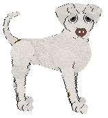 Profile image of Poppyhill’s Made of Ivory and Gold