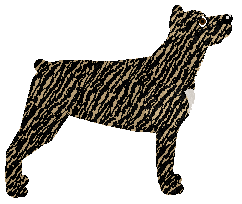 Loveshack Wife — “Wifey”