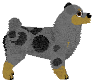 Loveshack SWEET CHERRY — “Wilma”