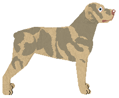 Carrantuehill MINAS ANOR — “Anor”