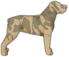 Profile image of Carrantuehill MINAS ANOR