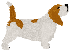 Energizing Make a Murder — “Steven”