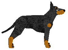 Energizing Grace — “Gracja”