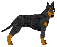 Profile image of Energizing Grace