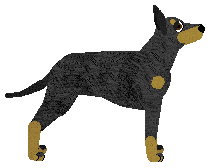 Kamvis' Too Hot To Handle — “Cosmo”