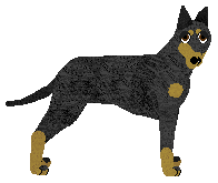 Profile image of Kamvis' Too Hot To Handle