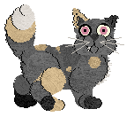 Chachke's Broom Hilda — “Hilda”