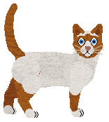 Witz's Buried Underground — “Bunker”