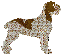 Energizing Online Classes — “Bruno”