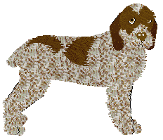 Profile image of Energizing Online Classes