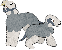 Profile image of Witz's Just for a Night