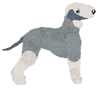 Witz's Just for a Night — “Cinderella”