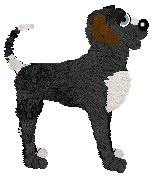 Chachke's Moon Jelly at SzK — “Moon”