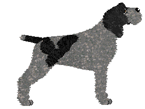 Energizing Bulka z Masłem — “Dżo”