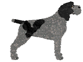 Energizing Bulka z Masłem — “Dżo”