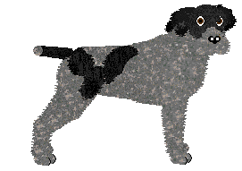 Profile image of Energizing Bulka z Masłem