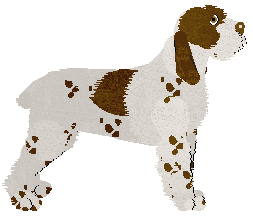 Energizing Old Friend — “Hungary”