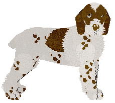 Profile image of Energizing Old Friend