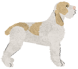 Energizing Au Revoir — “Italian”