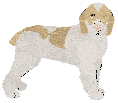 Profile image of Energizing Au Revoir