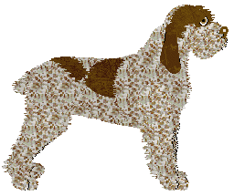 Energizing Peppermint — “Journey”