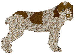 Profile image of Energizing Peppermint