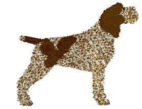 Energizing Herbata z Cytryną — “Lu”