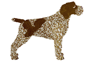 Energizing Herbata z Cytryną — “Lu”