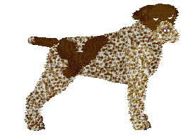 Profile image of Energizing Herbata z Cytryną