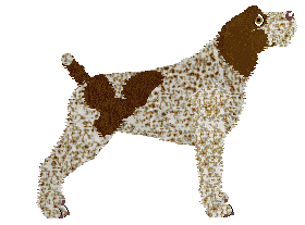 Energizing Nirvana — “Nirvana”