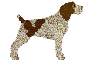 Energizing Nirvana — “Nirvana”