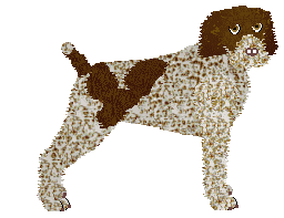 Profile image of Energizing Nirvana