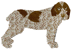 Profile image of Energizing Havana Split