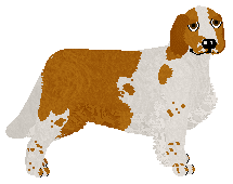 Profile image of TZC Come Back