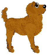 Cargo's Duckblinds and Daydreams at BFK — “Solstice”