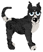 Fiction's Pastel de Nata at Chachke — “Hotpie”