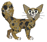 Sungraze's Banana Bread Latte at Chachke — “Cream”