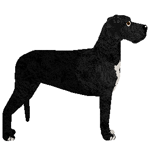 VERDE Harpagon — “Verde”