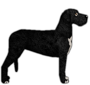 Profile image of VERDE Harpagon