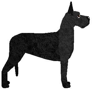 Shadowfox The Soldier on the Grave — “Meg”