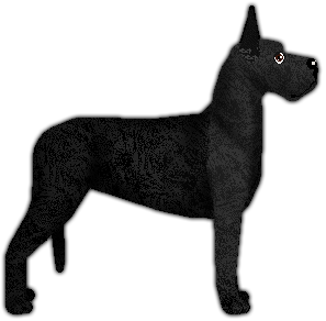 Profile image of Shadowfox The Soldier on the Grave