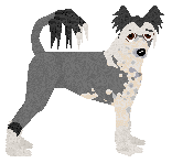 Profile image of Blizzard Mafiozoo